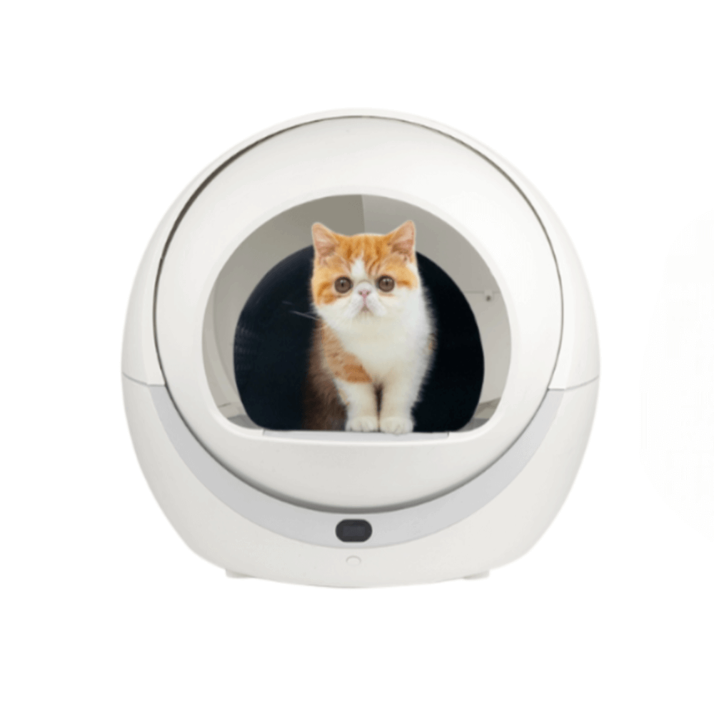 ห้องน้ำเเมวแบบอัตโนมัติ พร้อม WIFI THAI SUN SPORT รุ่น PET0038